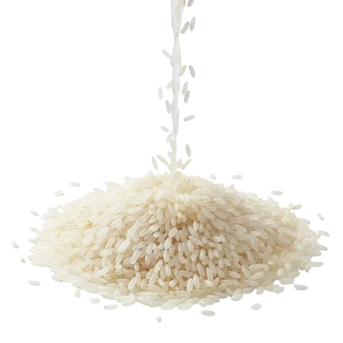 Non-Basmati Rice